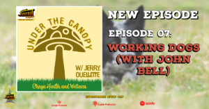 Under The Canopy Episode 07: Working Dogs (with John Bell)