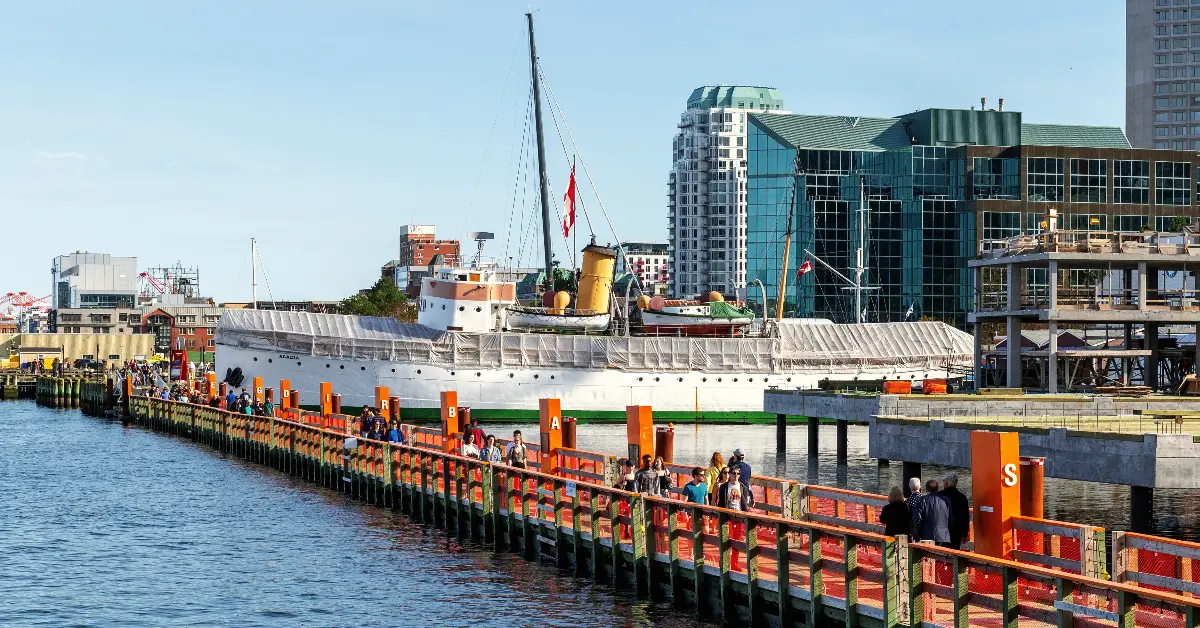 Lure of urban fishing draws anglers to Halifax waterfront