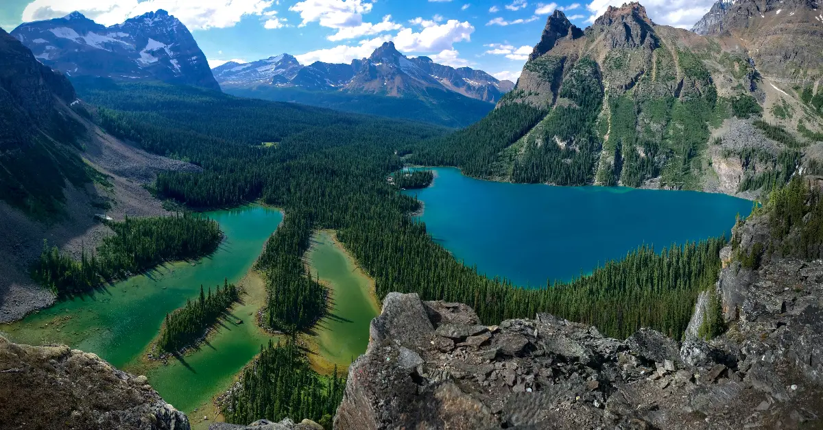 Parks Canada Closes BC Lake Due to Whirling Disease | Fish'n Canada