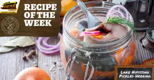 Pickled Herring – Recipe of the Week