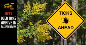 Deer Ticks Arrive in Saskatchewan