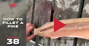 The BONELESS Way To Fillet A Pike