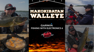 Makokibatan Walleye – Fishing with Electronics