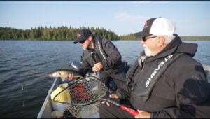 Close to Home – Lodge 88 Walleye and Whitefish