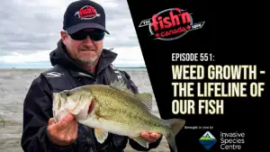 Episode 551 – Weed Growth: The Lifeline of Our Fish