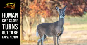 Human CWD Scare Turns Out To Be False Alarm