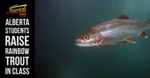 Alberta Students Raise Rainbow Trout in Class