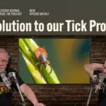 The Solution to our Tick Problem? | ODJ ep. 118