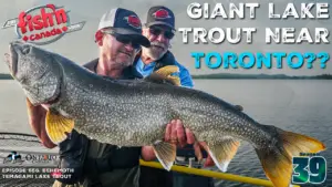 Episode 556: Behemoth Temagami Lake Trout