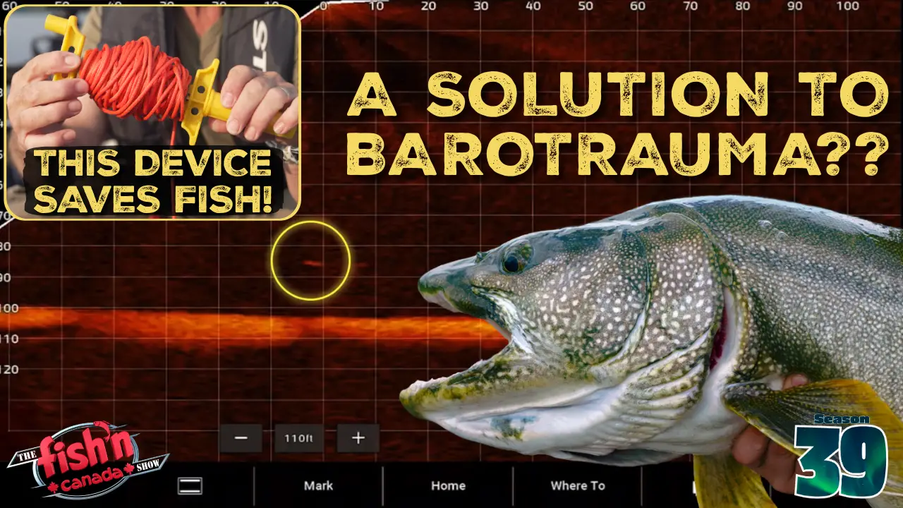 This Device Can SAVE A FISH’S LIFE