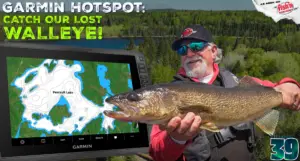 Walleye on Perrault Lake | HotSpot