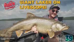 Episode 558: GIANT Laker on LIVESCOPE!