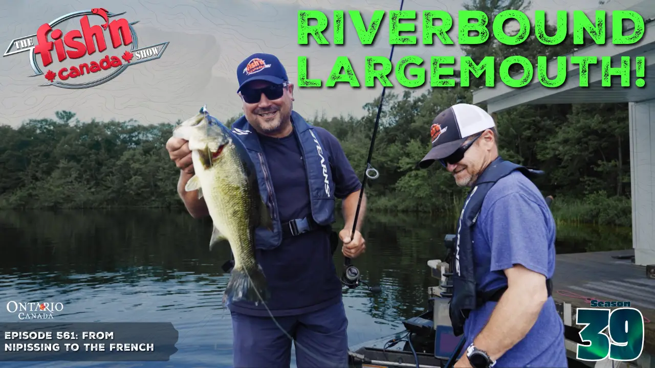 Episode 561: Riverbound Largemouth Bass! 