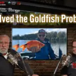We Solved the Goldfish Problem!