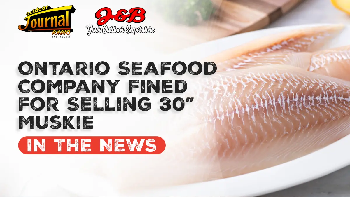 Ontario Seafood Retailer Fined for Selling Angler-Caught Muskie
